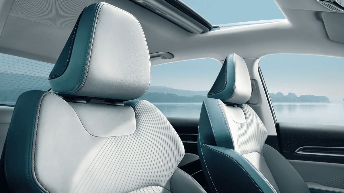 emgrand-new interior image